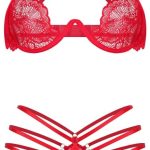 Unveiling Allure: Review of the Women's Lace Lingerie Set!